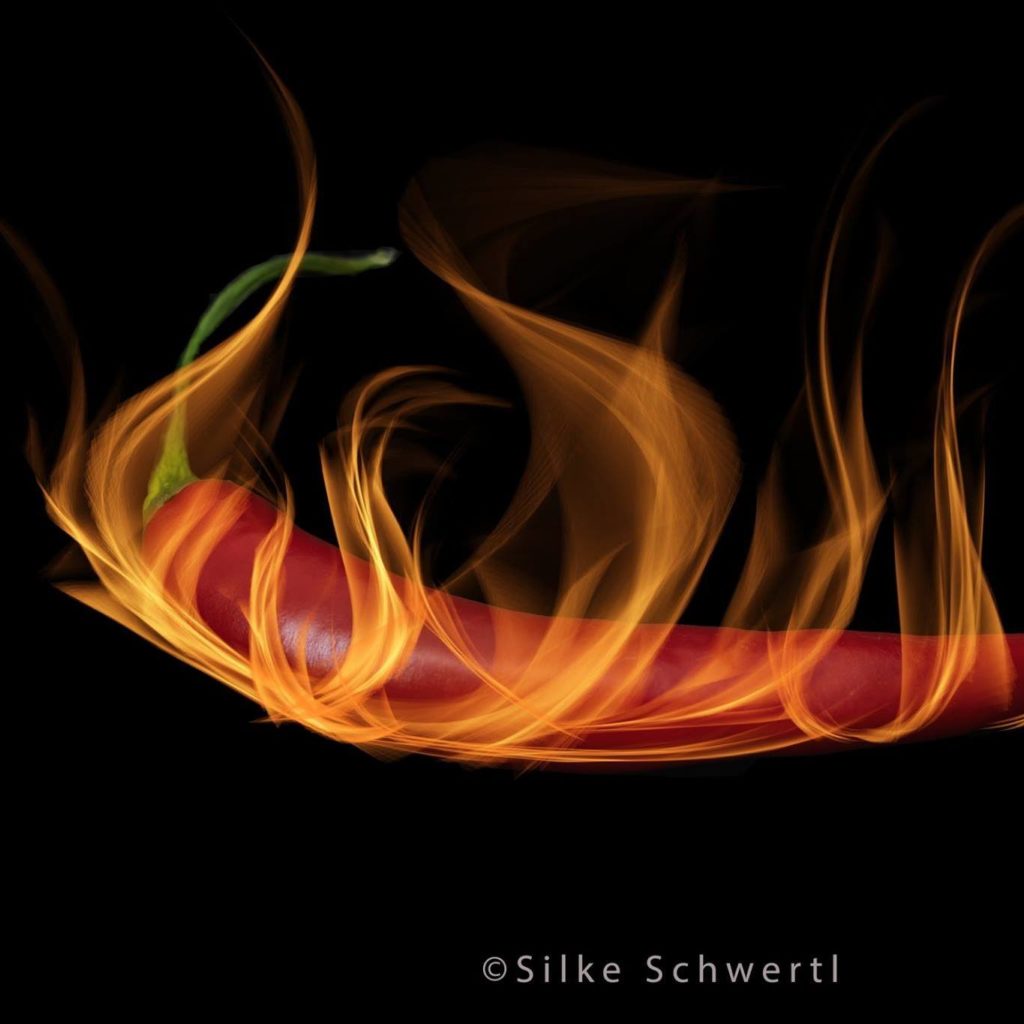 Firechili Logo