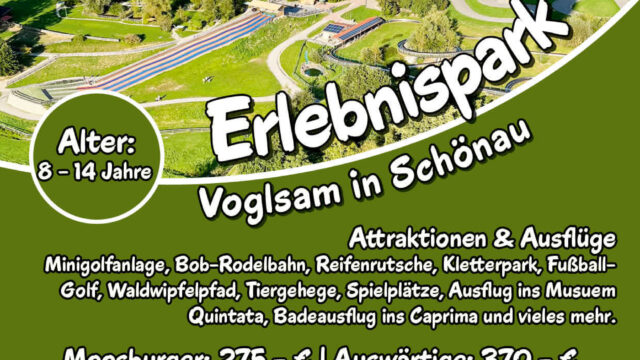 Flyer FFZ 2026 Web